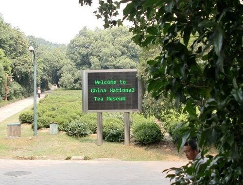 505e6eea26973-china-national-tea-museum-review-16